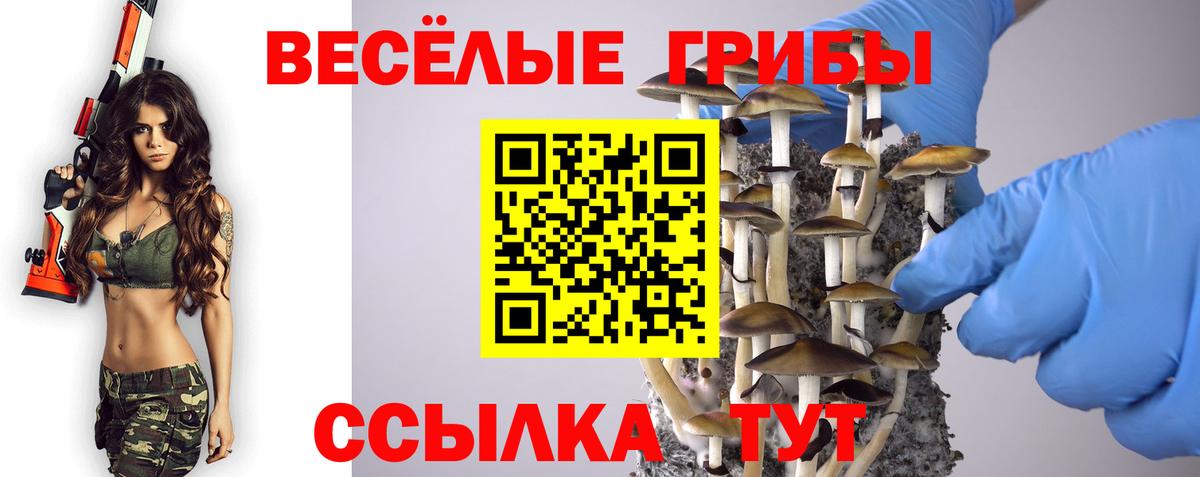 Галлюциногенные грибы Psilocybine cubensis Ульяновск
