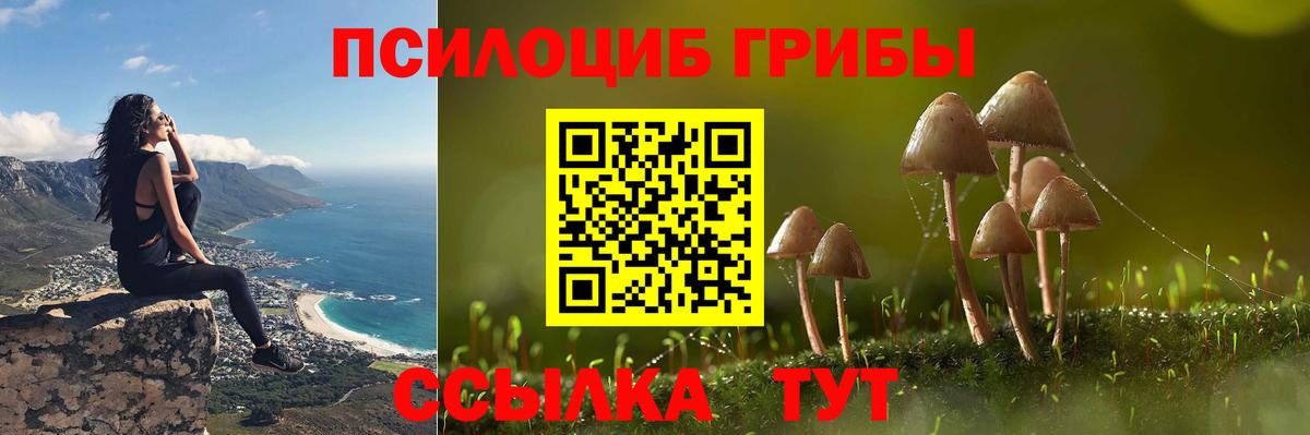 Ульяновск  Псилоцибиновые грибы мицелий  Вход с VPN  Галлюциногенные грибы Cubensis 